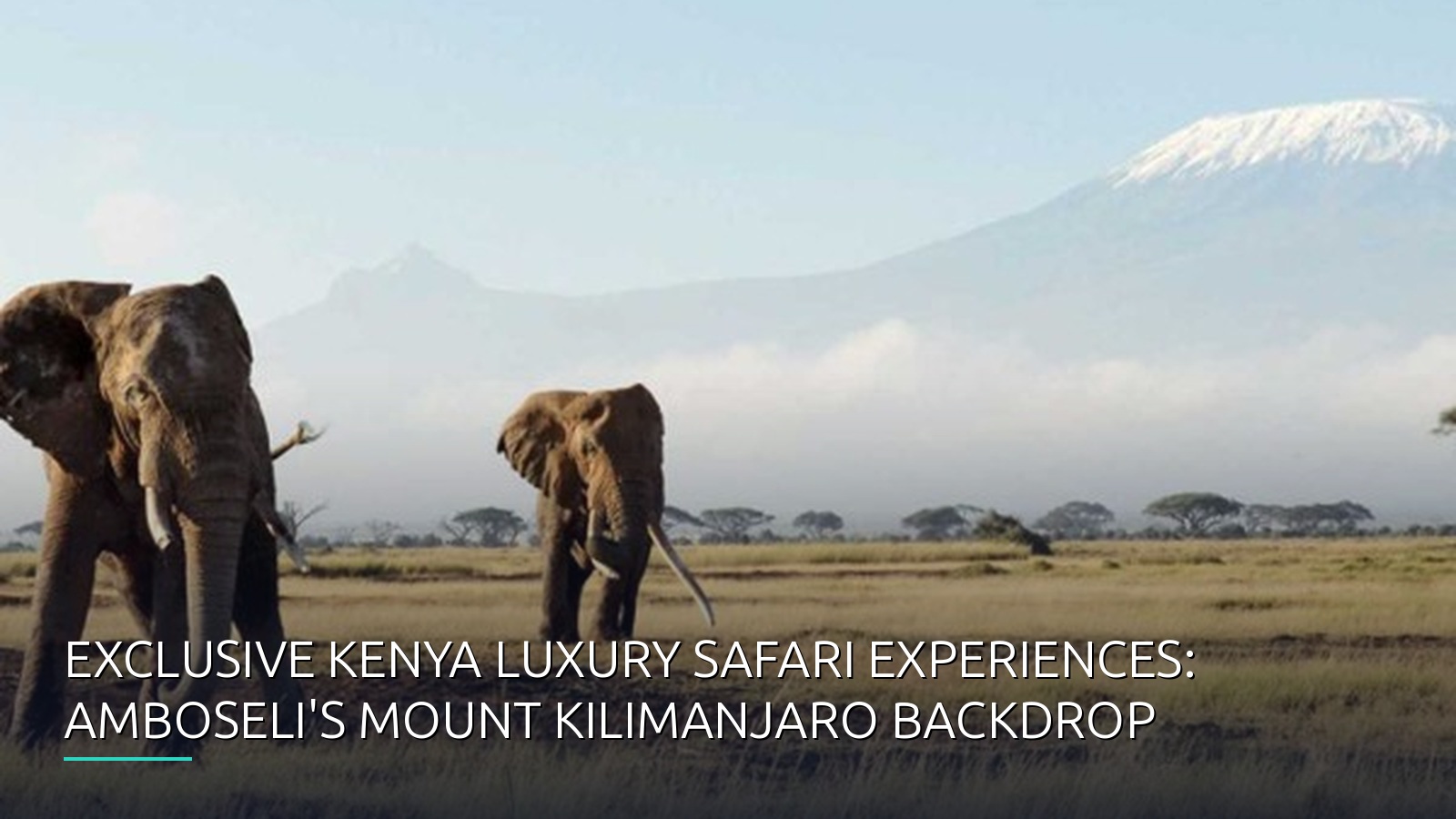 Exclusive Kenya Luxury Safari Experiences: Amboseli's Mount Kilimanjaro Backdrop