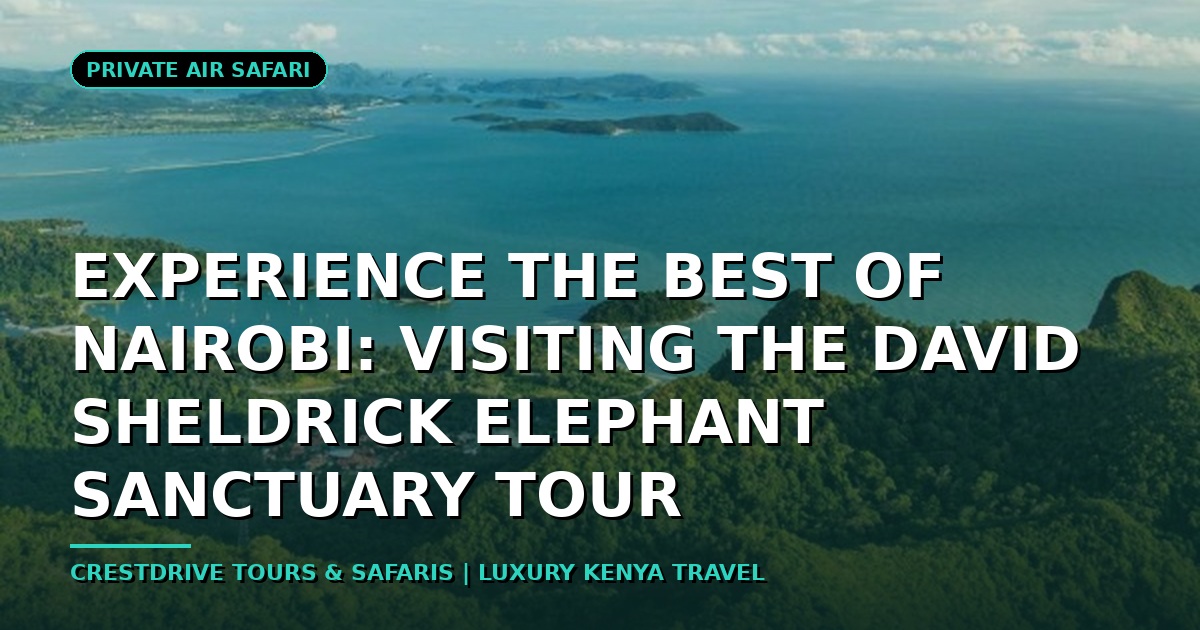 Experience the Best of Nairobi: Visiting the David Sheldrick Elephant Sanctuary Tour