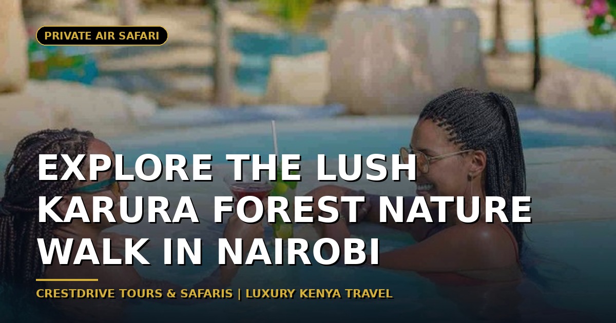 Explore the Lush Karura Forest Nature Walk in Nairobi