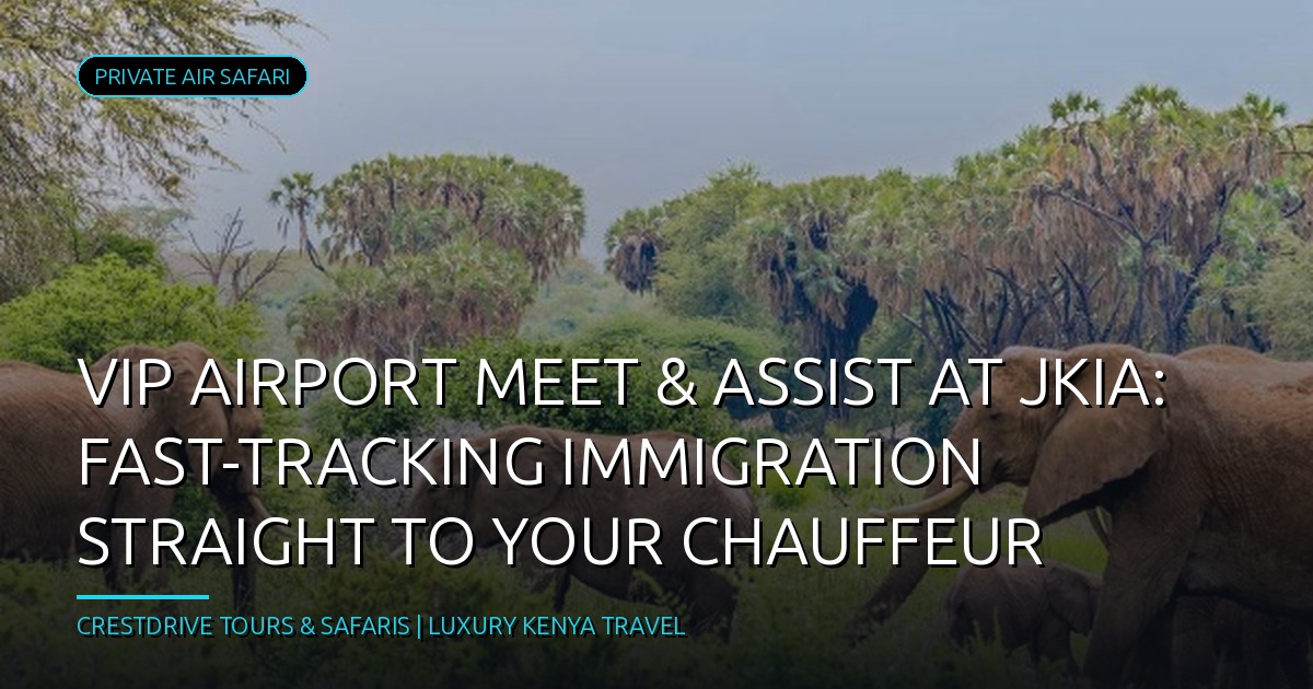VIP Airport Meet & Assist at JKIA: Fast-Tracking Immigration straight to Your Chauffeur