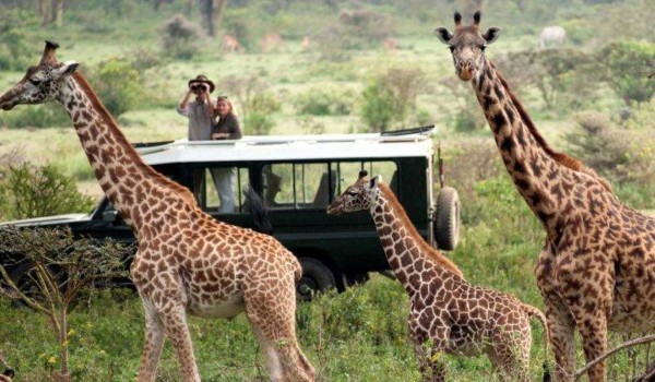 Kenya Bush & Beach