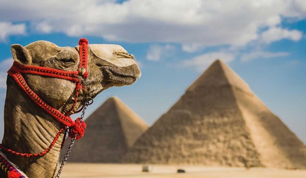Cairo & Nile Cruise