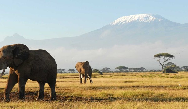 Amboseli 3 Days 2 Nights Safari Deals, Amboseli Safari Packages Photo 1