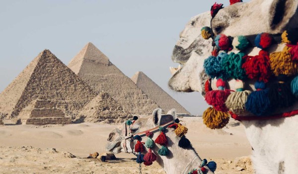 8 Days Cairo Nile Cruise & Hurghada Package, Egypt Tour Photo 5