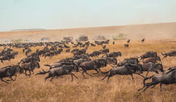 Serengeti & Ngorongoro Safari