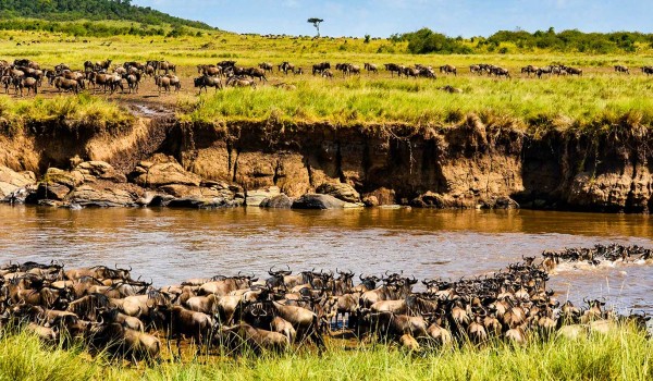 3 Days Maasai Mara Safari Photo 5