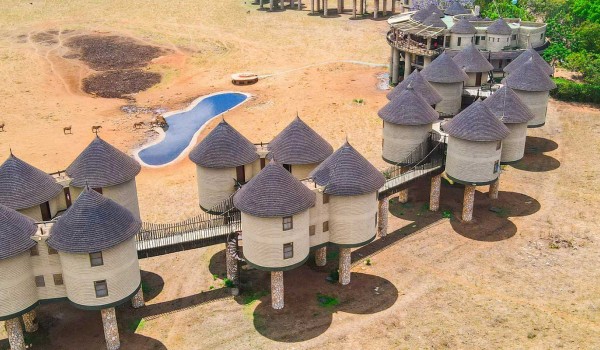 Treetops Lodge, Aberdares Photo 4