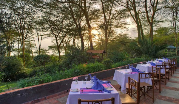 Treetops Lodge, Aberdares Photo 5