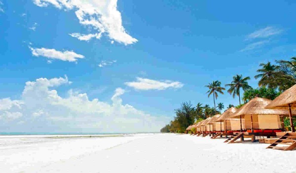 Tanzania Safari & Zanzibar